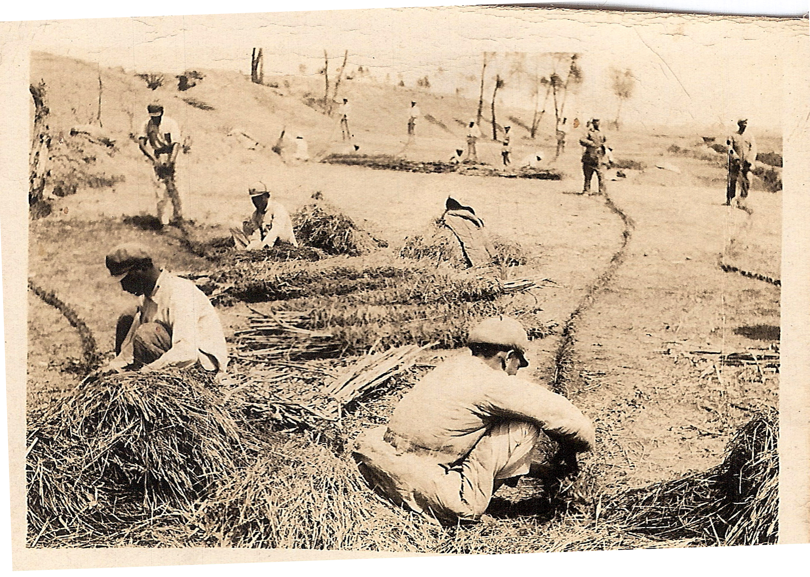 七十年前，一个解放军下层文职军官的日记（之二十六）