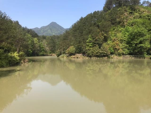 典型的丹霞地貌有碧水丹山之美誉,俯瞰丹霞地貌鬼斧神工令人惊叹