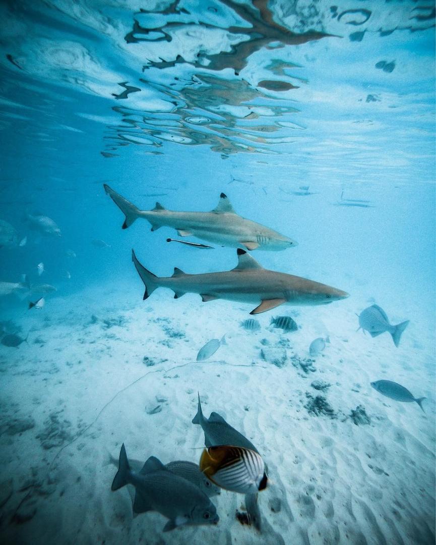 马尔代夫怎么样选岛,马尔代夫选岛