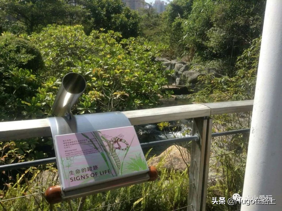 香港亲子游图文攻略图片大全,去香港亲子旅行攻略路线图片