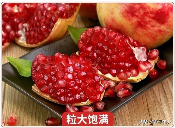 突尼斯软籽石榴苗真假辨别图片,突尼斯软籽石榴正宗苗