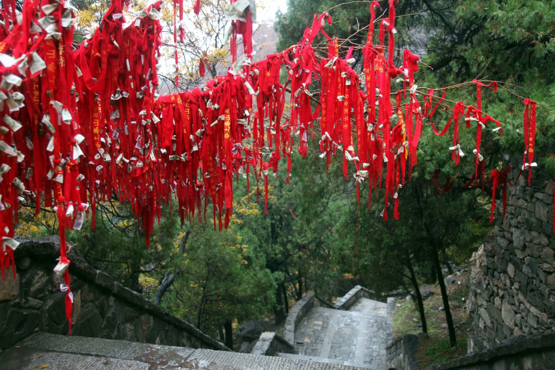 泰山景区在山东哪个市,泰山孔子庙在泰山的位置