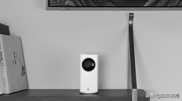 猫咪挂脖远程摄像头推荐,猫咪监控摄像头测评