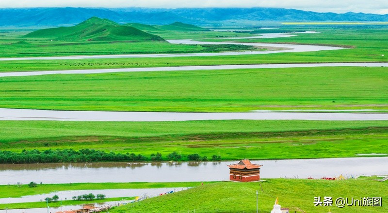 六月的若尔盖，一个不能错过的人间天堂
