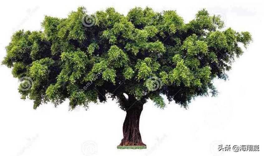 山海经第五卷小说,山海经第五篇