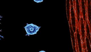 脊髓损伤将不再是不治之症,脊髓损伤手不能动能治愈吗