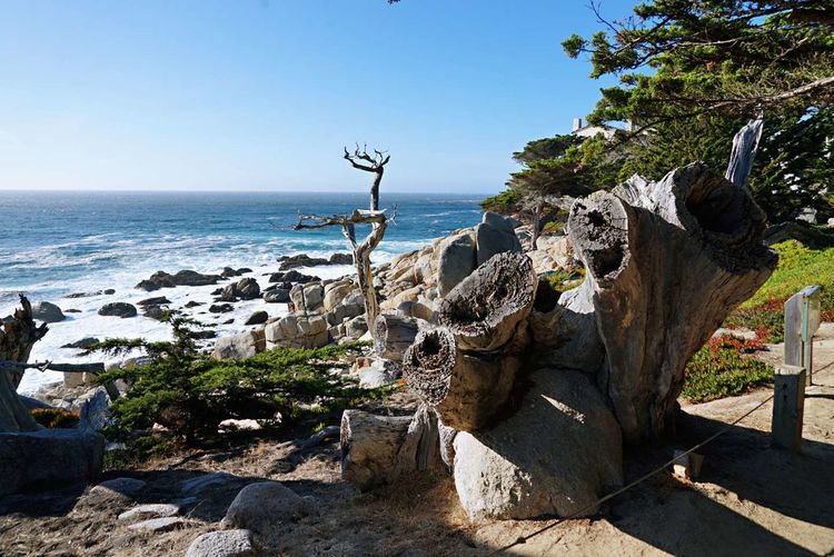 美国德州西部自由行,美国西海岸可以自由航行么