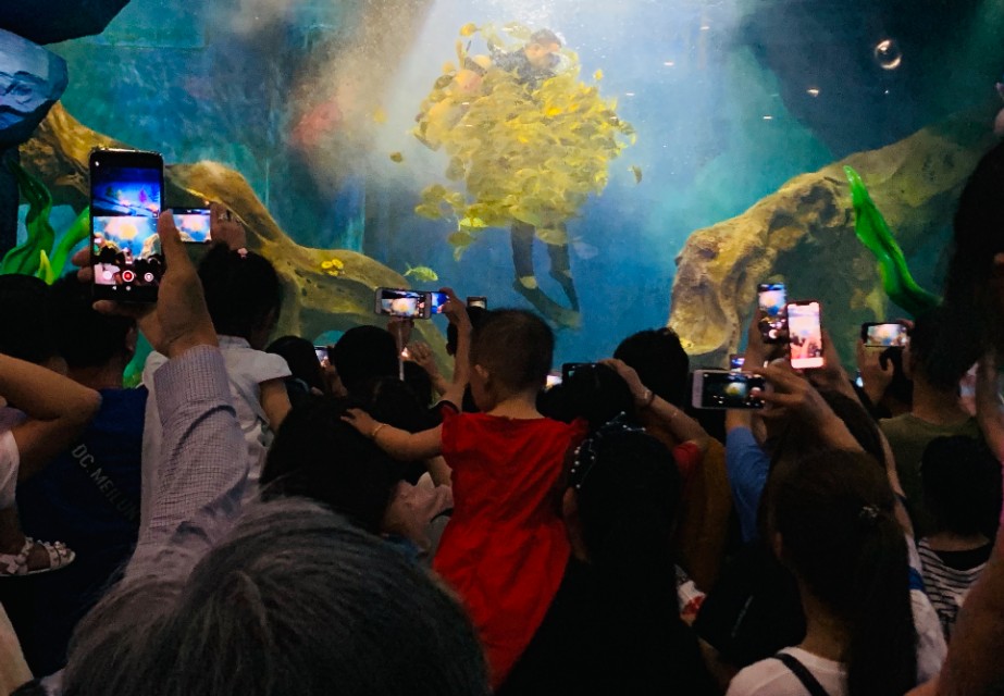 没有对比就没有伤害人类和动物,没有对比就没有伤害全运会