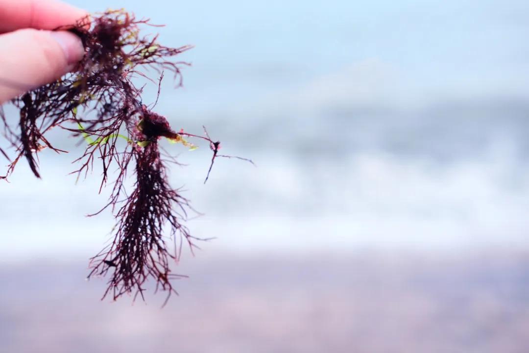 青岛好吃高端的店,青岛有什么很辣很好吃的