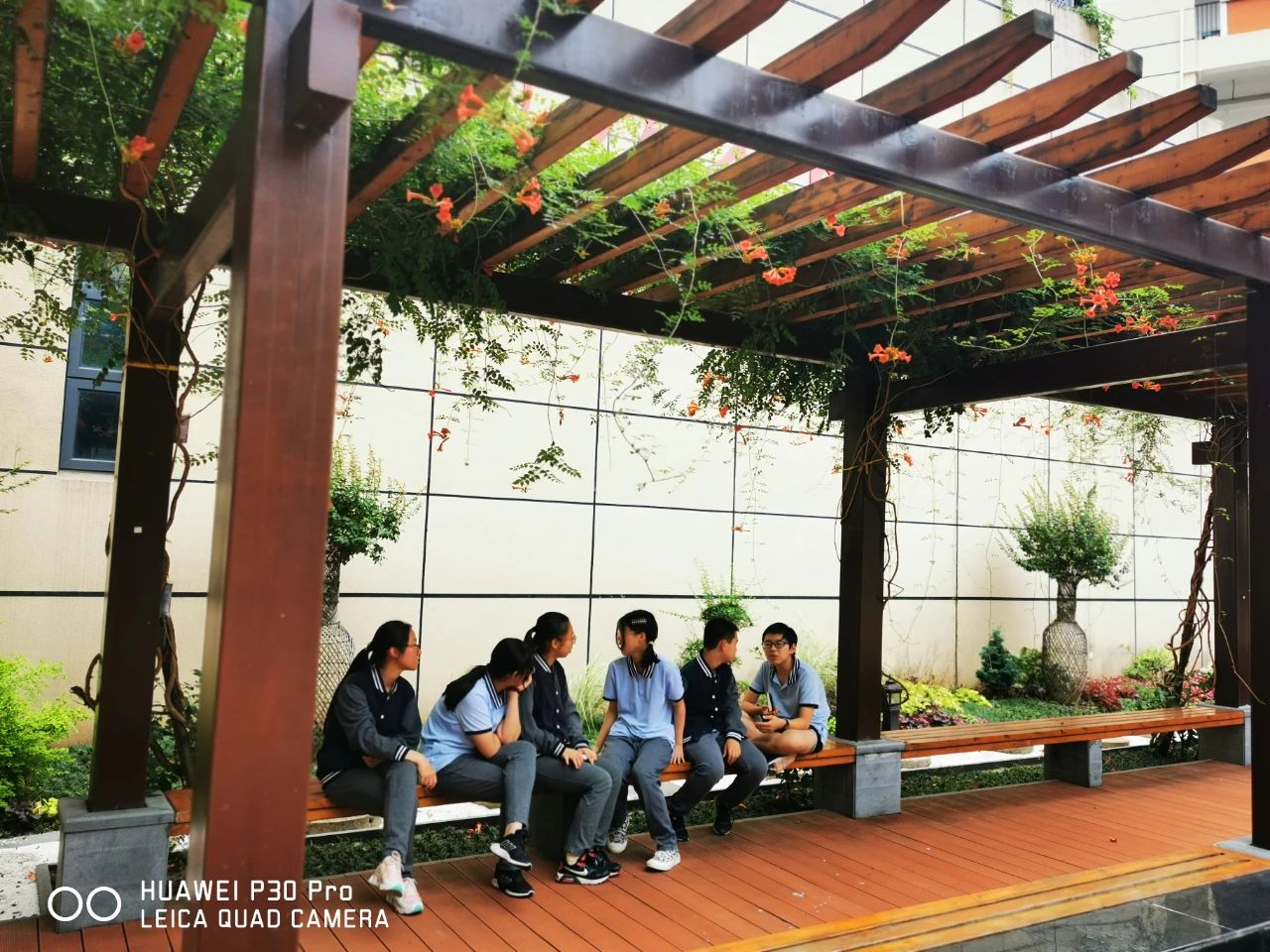 南京教育集团有哪些校,南京一中教育集团