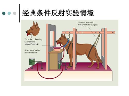 记忆心理学案例加原理,企业管理与心理学案例