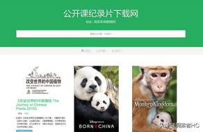 高清短视频素材网站无水印,高清电视剧下载网站无水印