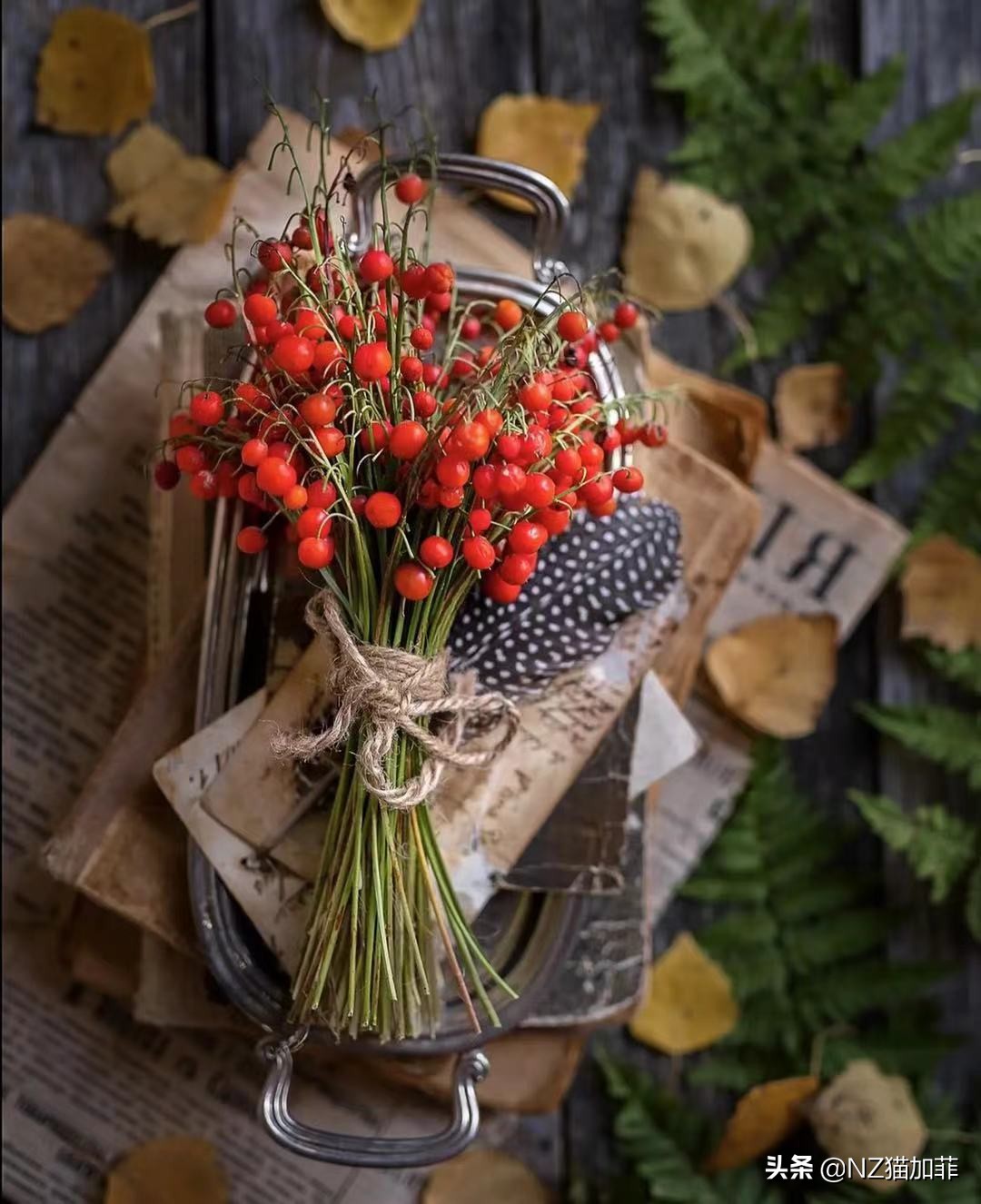 财富故事大全讲解,财富大有可为的小故事