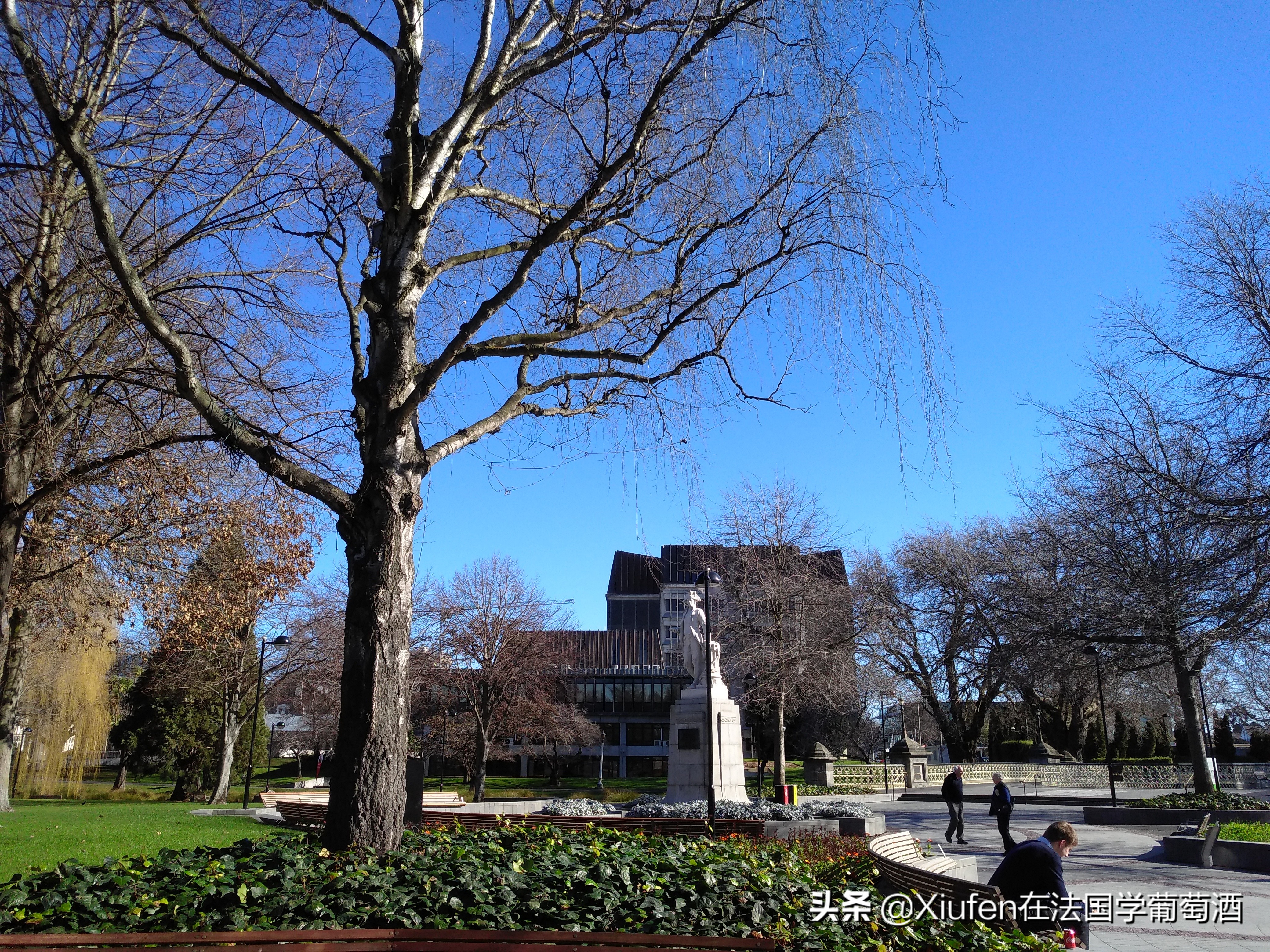 新西兰基督城城市风景,新西兰基督城风景漫步