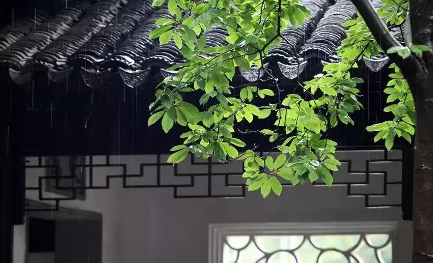 青梅时节诗词,青梅时节的诗词