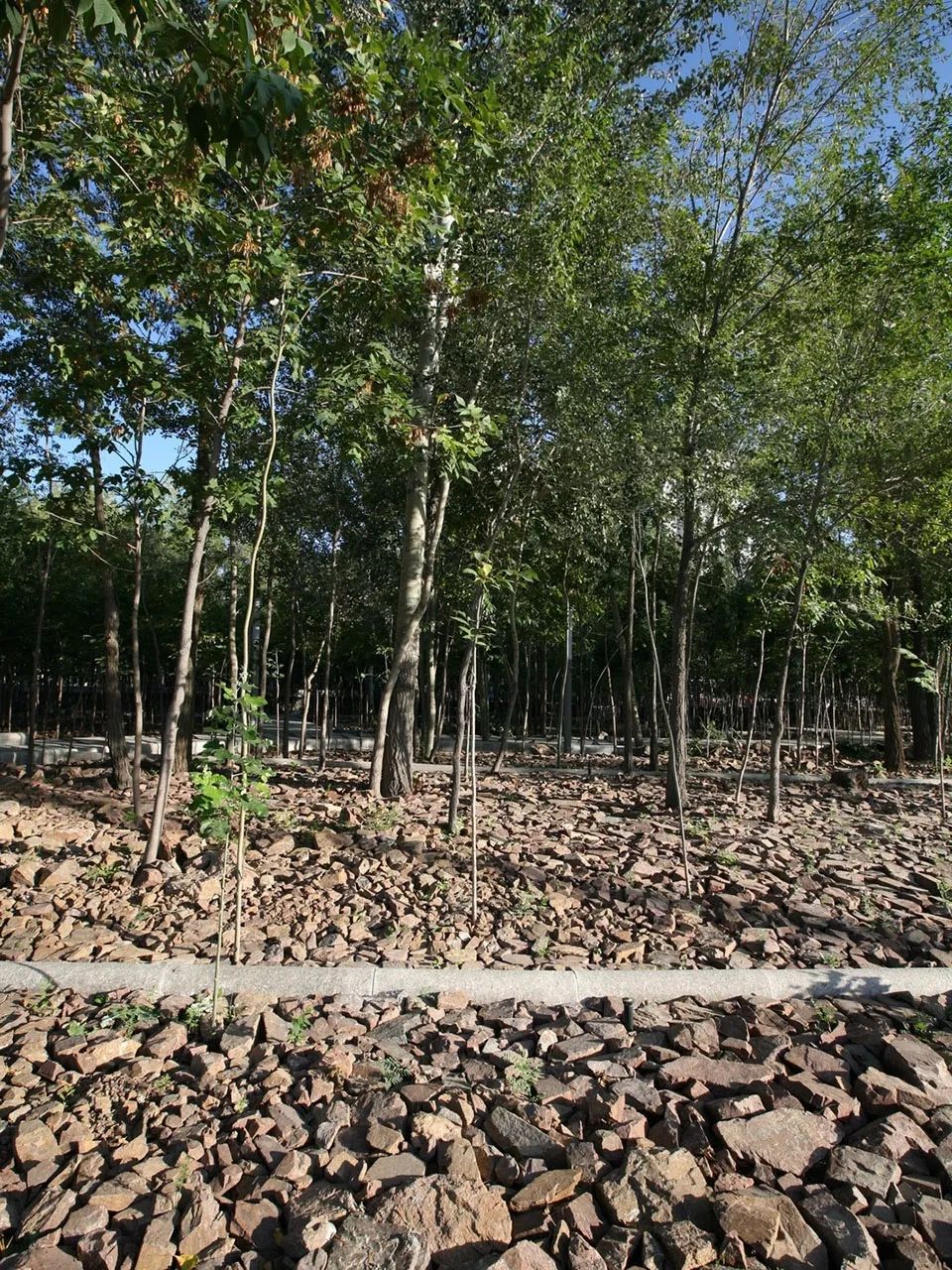 荒漠的城市,城市的喧嚣沙漠的宁静