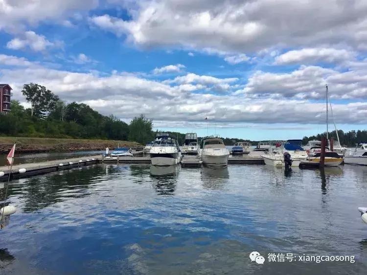 漂洋过海来挖宝,漂洋过海去台湾吃海鲜