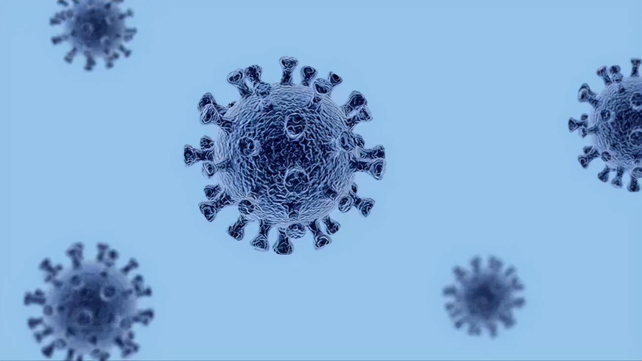 日本2020年度最佳流行语揭晓,2019年日本排名前十的流行语