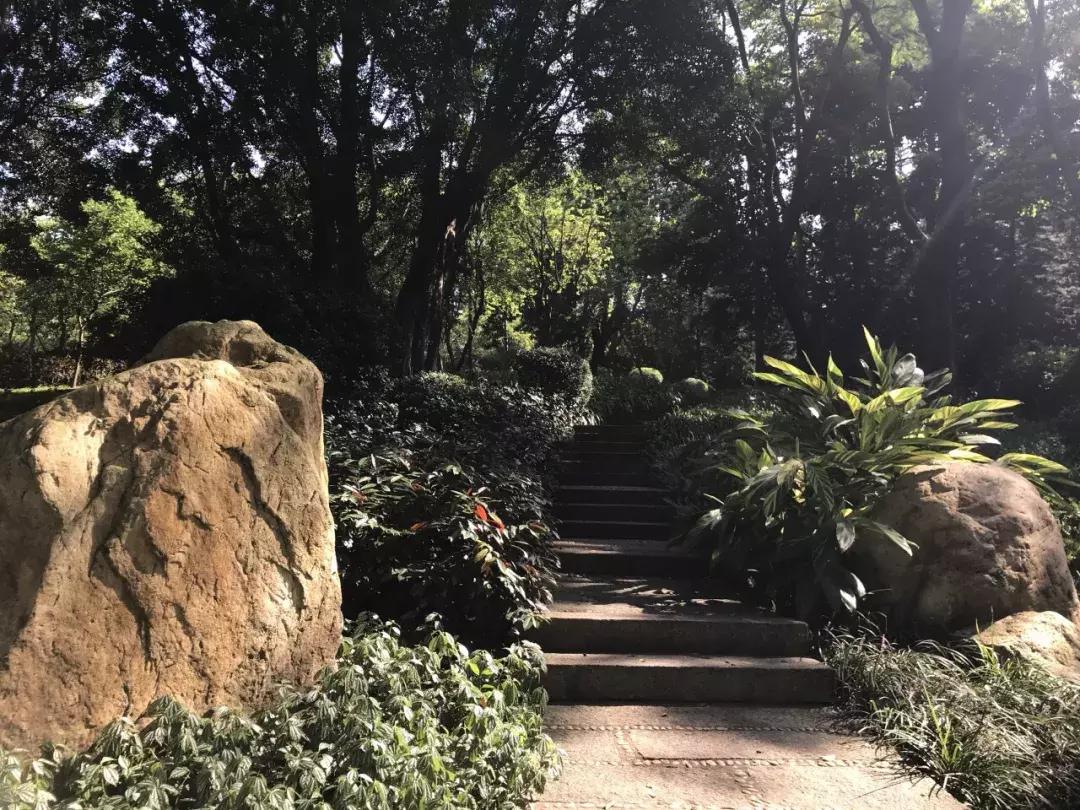 天津春天踏青好地方,天津武清踏青好去处