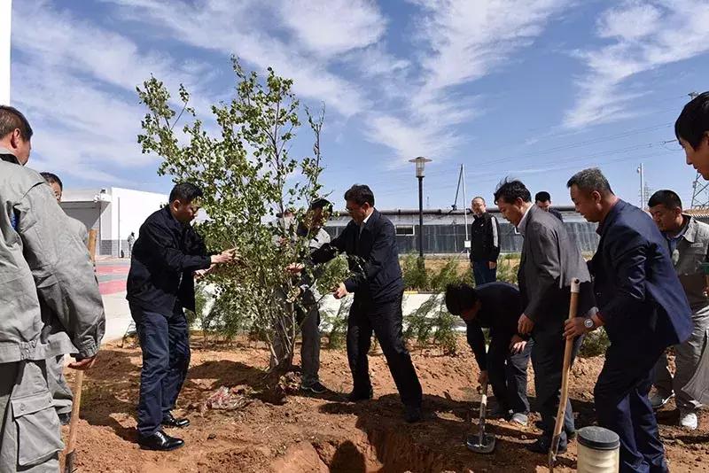 风电机遇,后发先至高质发展