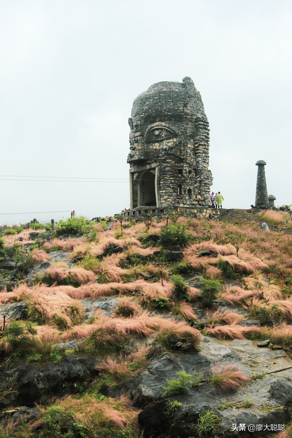 重庆这片花海你还没有来打开，那你就输了