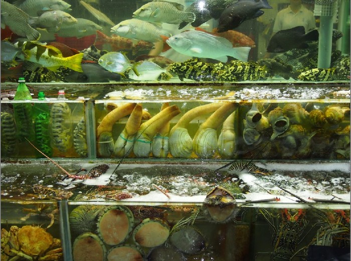 香港人气爆满的30年地道美食,盘点我吃过的海鲜美食