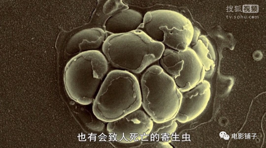 主持人用生命拍片系列，大写的牛掰