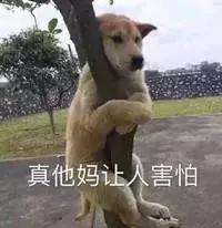 成考数学攻略大全,mba管理类联考数学50个必背公式