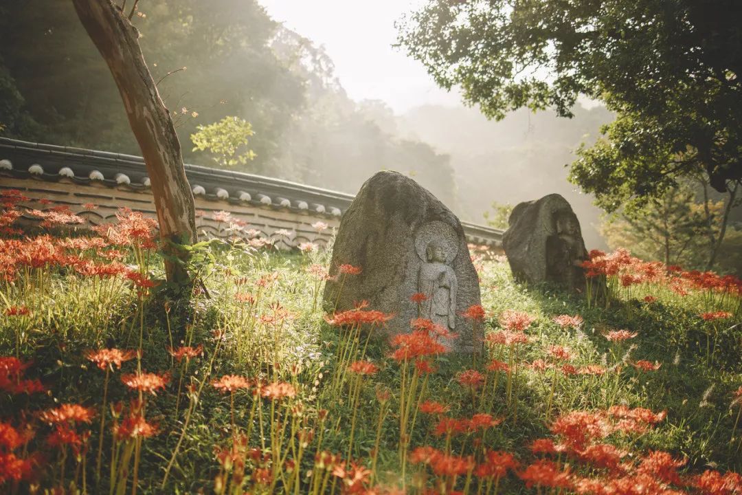 国医大师裘沛然是哪里人,裘沛然国医大师医案