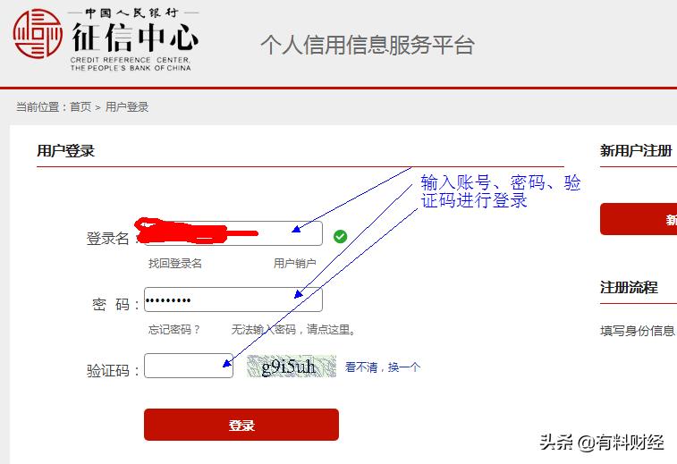 如何查询征信记录和信用报告,手把手教你如何查个人征信报告