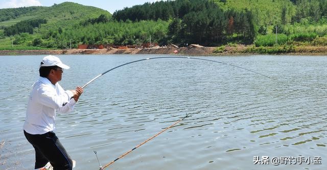 野钓遇到大鱼如何溜鱼,野钓中大鱼怎么处理