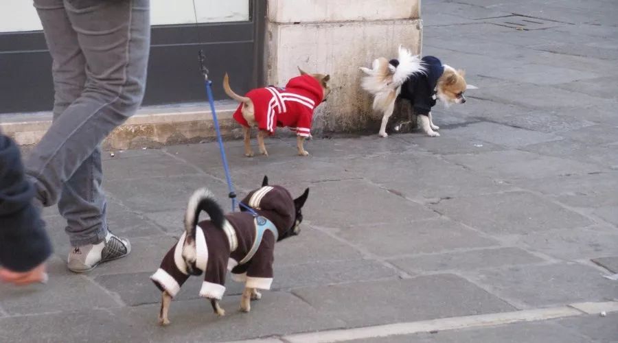 武汉有趣的工作,武汉新型副业项目