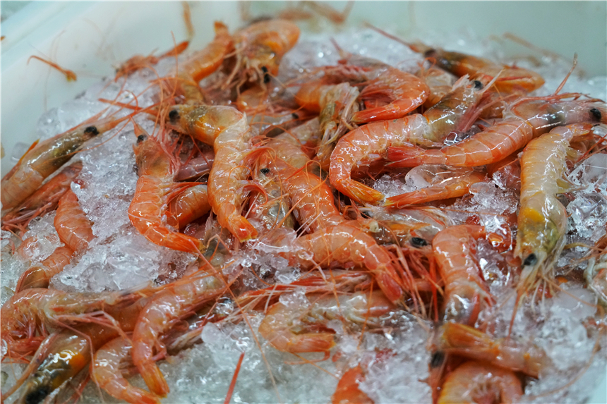 浙江哪个的海岛海鲜便宜,中国哪个海边城市的海鲜最便宜了