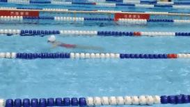 游泳教学零基础青蛙泳,蝶仰蛙正确游泳方法