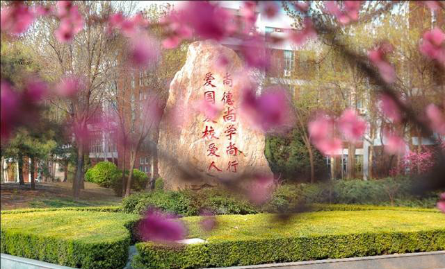 天津学霸女神,天津大学漂亮女学霸