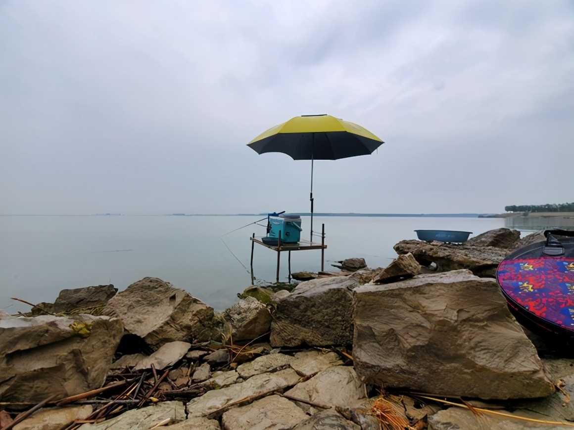 鱼儿吃饵料不咬钩是什么原因,鱼儿吃不饱会怎么样