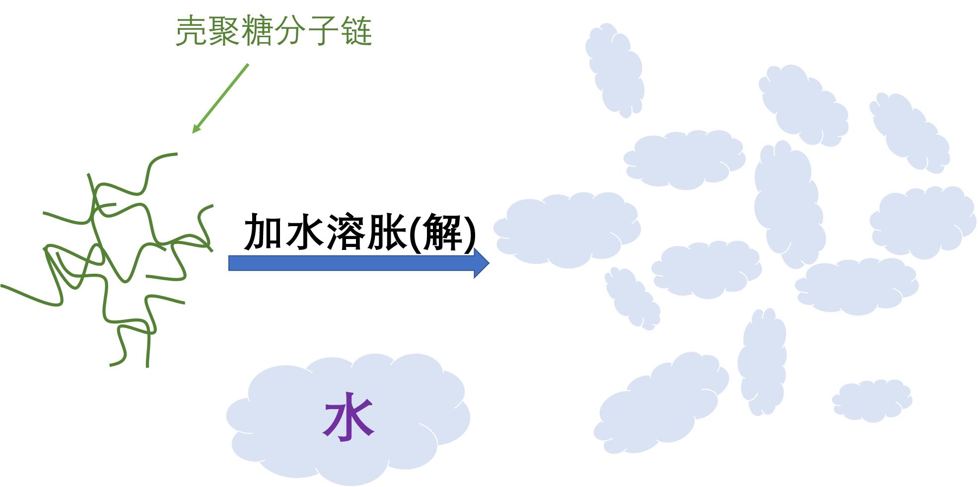美食→生物材料|小龙虾→伤口敷料