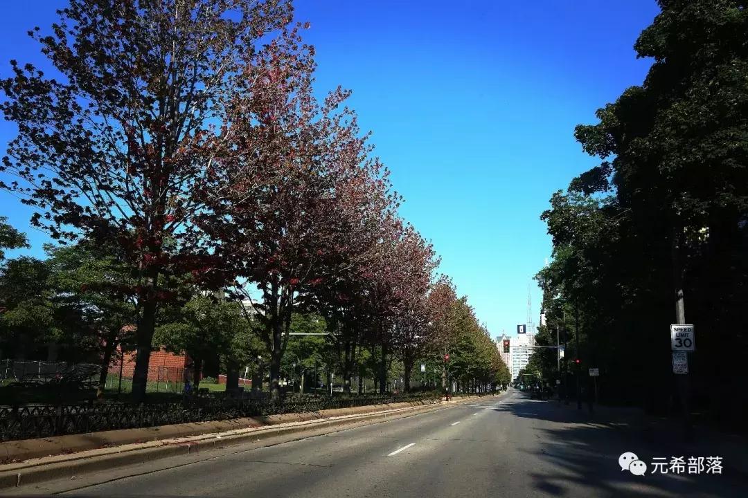 芝加哥及周边的好去处,芝加哥周边游玩