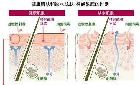 肌肤敏感泛红用什么护肤品,韩束水乳美白淡斑敏感肌