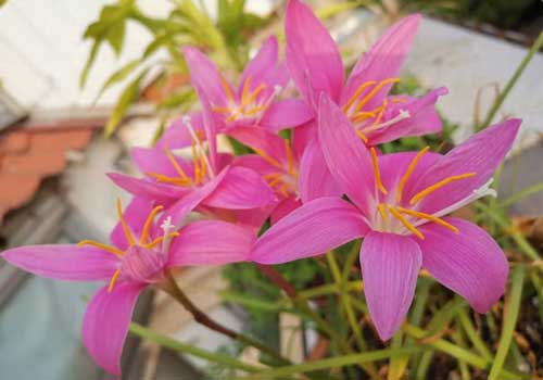 尔后,尔后美肤定制中心