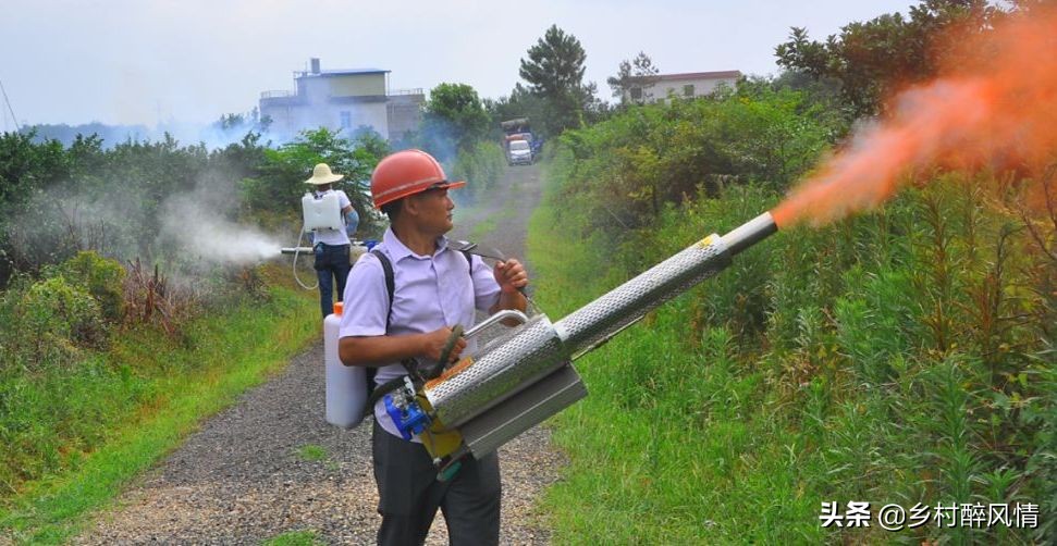 泰国红黑胶囊能治黄龙病吗,红黑胶囊治黄龙病吗