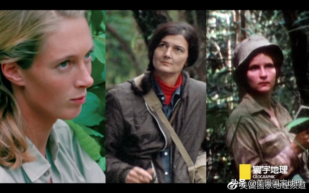 是什么激励着国家地理女探险家们改变世界的?