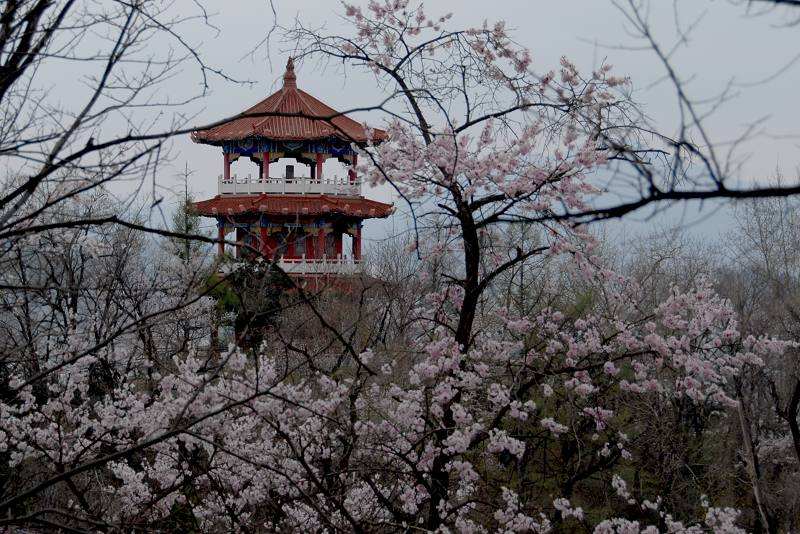 畅梦轻怀，黄灯醉墨，一笔尽是思硕