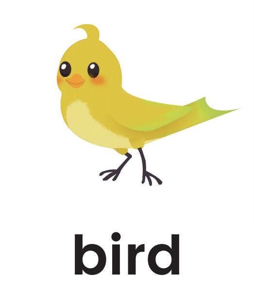 单词记忆小卡片怎么记单词,单词记忆法电子单词卡