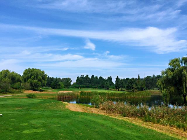 山东青岛高尔夫球场学校,山东青岛高尔夫球