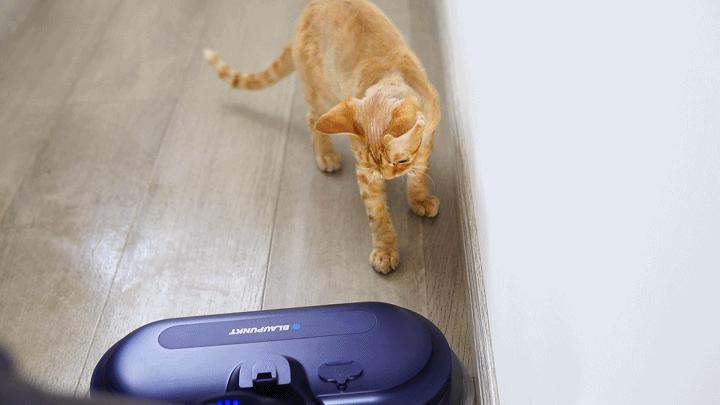 德国蓝宝拖把拖地,拖地洗地一体机测评