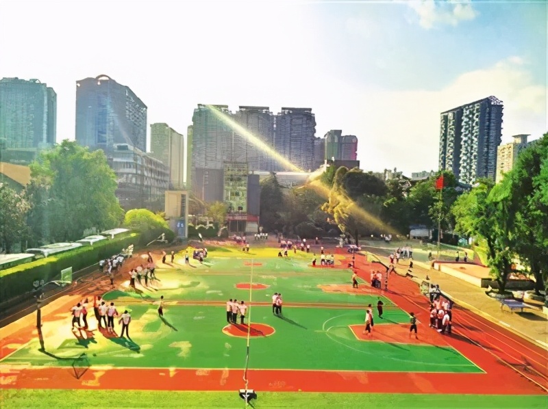 树德协进中学和青羊区教科院,树德协进中学青羊新城