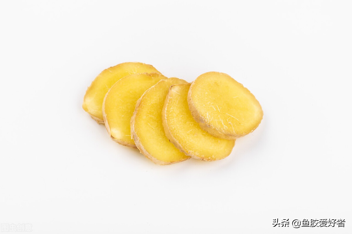 鱼胶正确的泡发方法和做法,鱼胶的制作方法最正宗