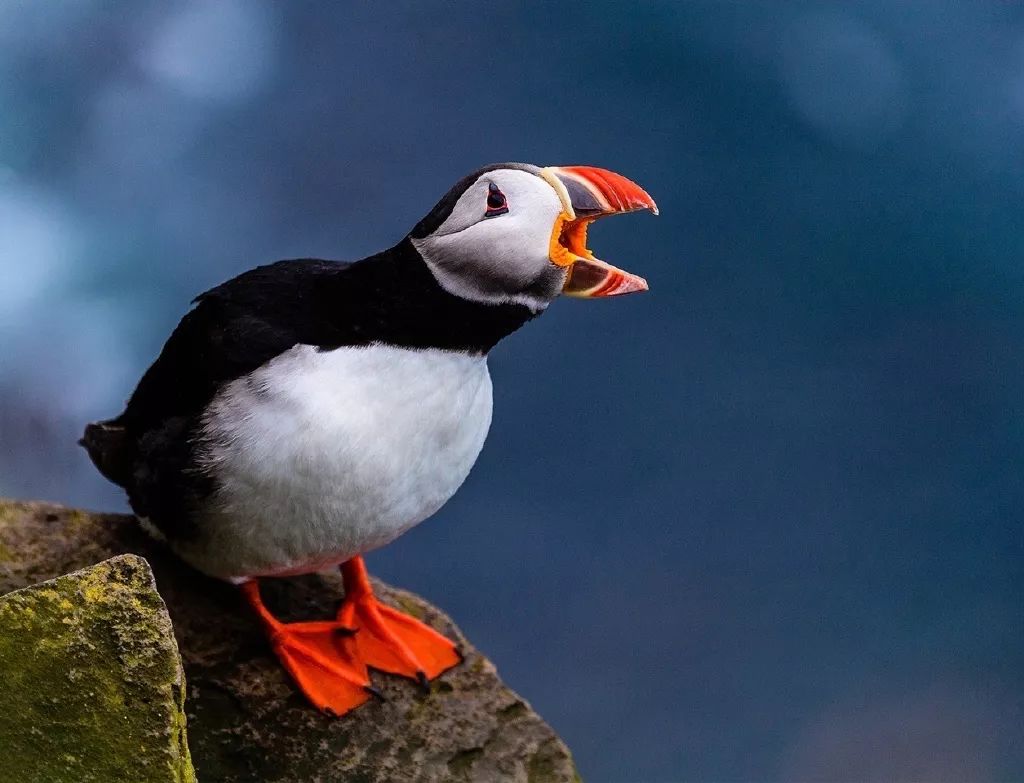 航拍压迫感的长焦镜头怎么拍,航拍中国用了多少长焦镜头拍摄