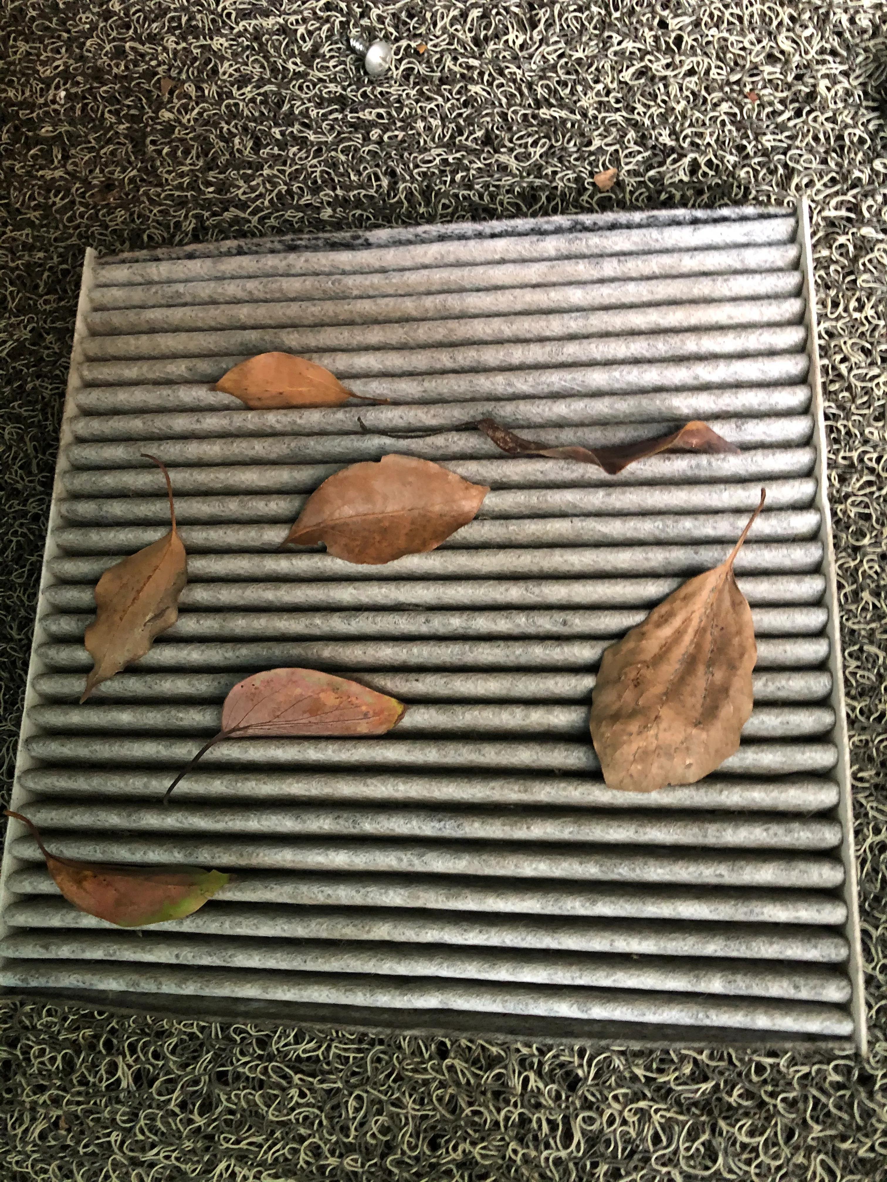 空调滤芯更换教程探岳,空调滤芯更换教程福特